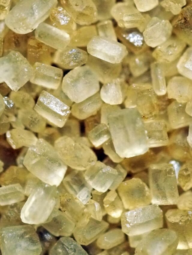 इस गर्मी गोंड कतीरा क्यों हो रहा है वायरल !