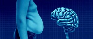 obesity causes