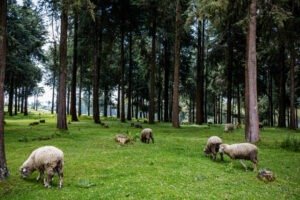 Underrated Destinations 2025 bucket list