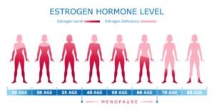 menopause age