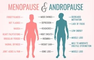 menopause and endropause