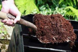 Gardening tips in Hindi