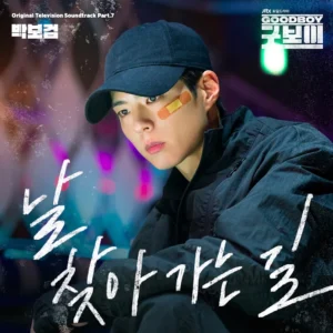 Good Boy K-Drama