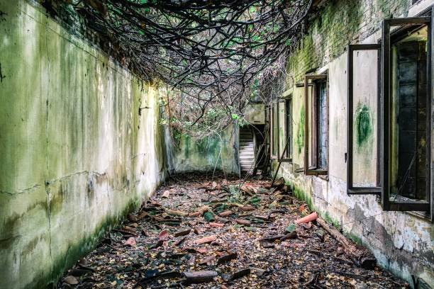 Poveglia Island, Italy
