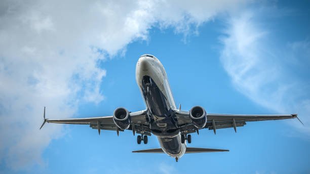 Boeing 737 Japan Airlines