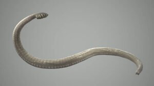 अलबेंडाजोल