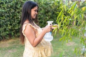 बारिश के मौसम में पौधों की देखभाल