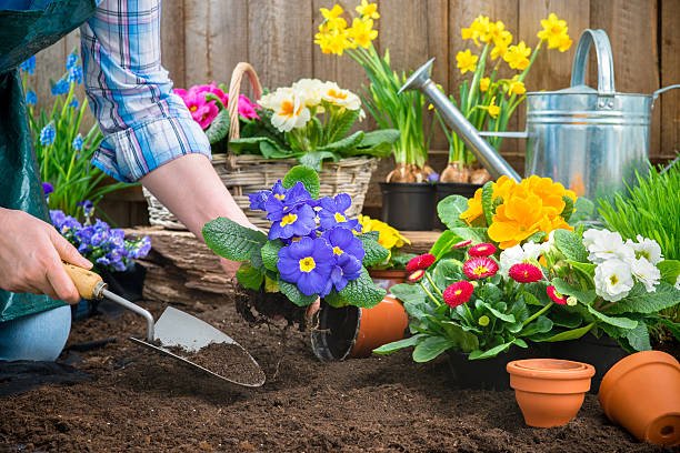 saal bhar khilne wale phool