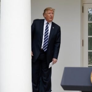 Trump is Dead Trend