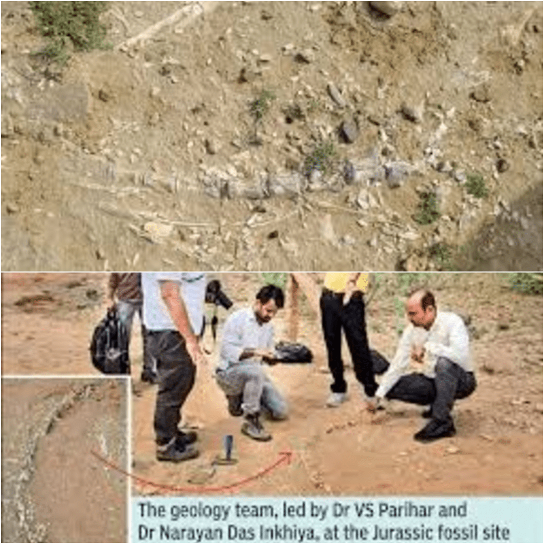 भारत में पहली बार मिला 20 करोड़ साल पुराना Phytosaur जीवाश्म