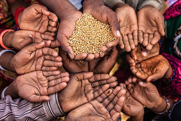 gaza hunger crisis