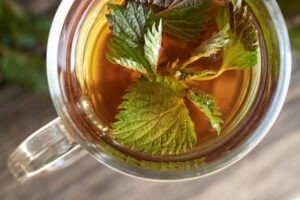 बिच्छू घास का सूप Nettle Soup
