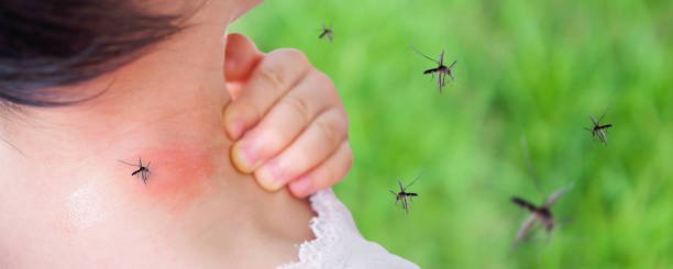 Mosquito se Kaise Bache
