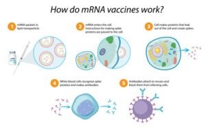 HIV Vaccine Trial Success