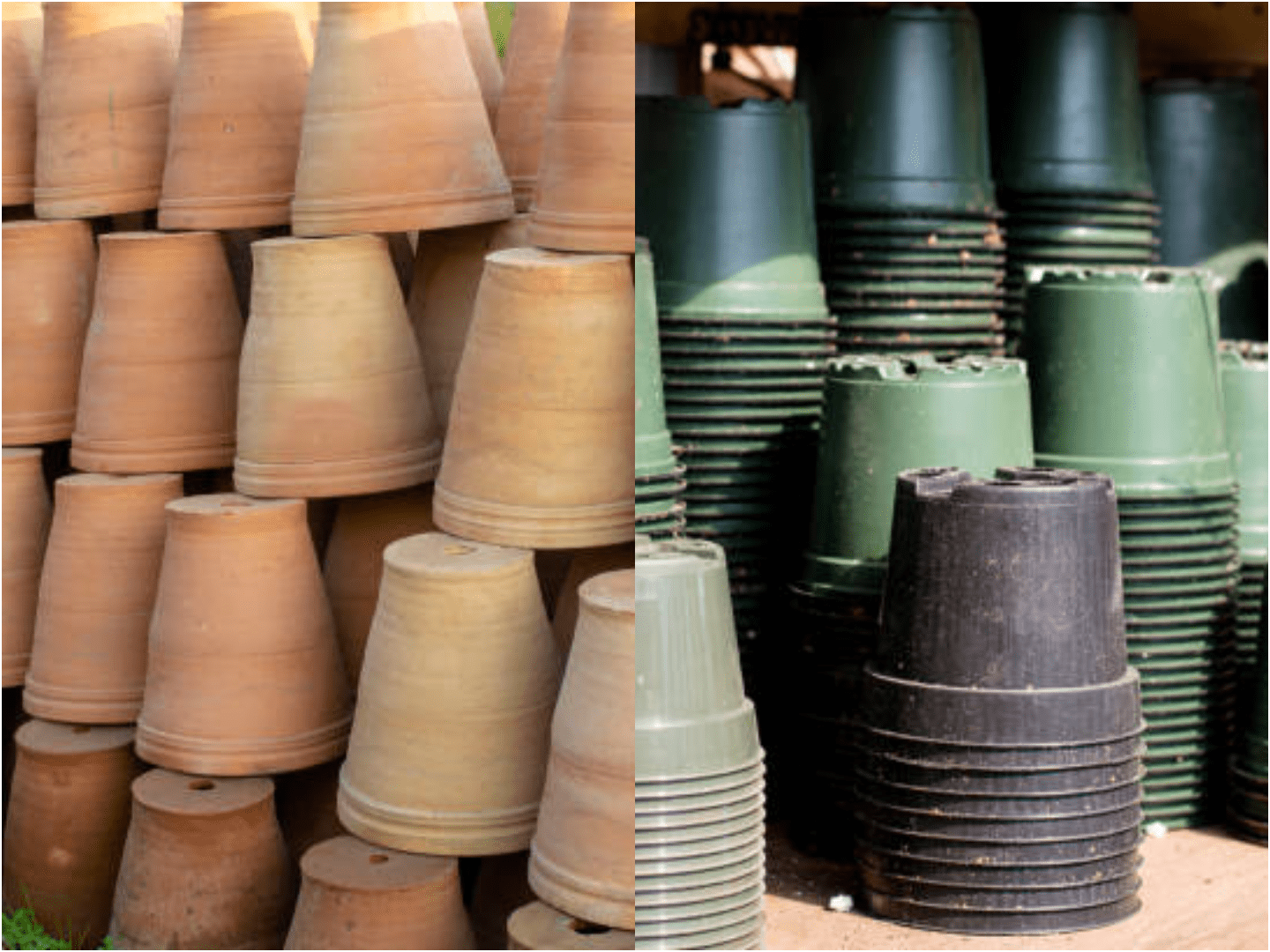 plastic vs clay pots for plants