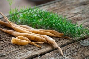 Best Herbs for Hair Growth 