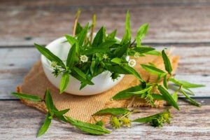 Best Herbs for Hair Growth