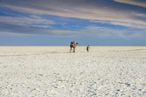 Places to Visit in Winters