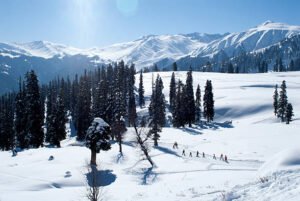 Places to Visit in Winters