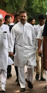 Rahul Gandhi Networth