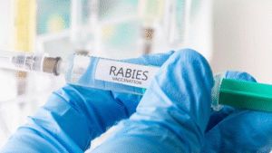 Australia Flags Concerns Over Abhayrab Rabies Vaccine