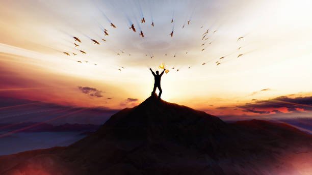 Powerful Principles to Succeed in Any Field: