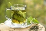 Nettle Tea Uncovered