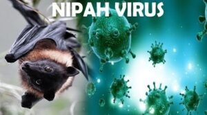 Nipah Virus kolkata in Alert