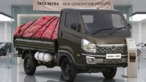 Tata Motors Tata Intra V20 Gold