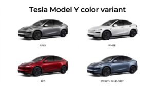 Tesla Model Y India Launch 