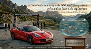 Nature Inspired Supercars and Bikes